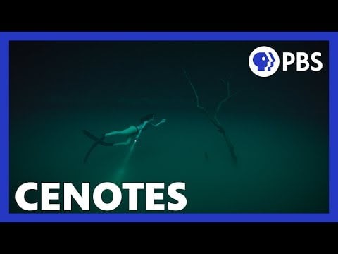 H2O: The Molecule That Made Us | Cenotes | PBS