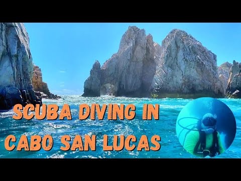 Scuba Diving In CABO SAN LUCAS MEXICO 2020