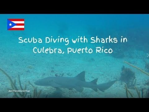 Scuba Diving with Sharks at Culebra Island, Puerto Rico