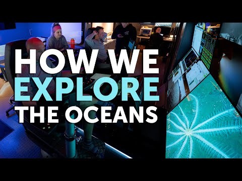 Introducing OceanXplorer