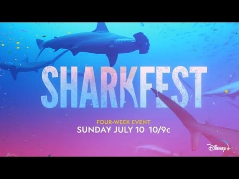 Sharkfest Celebrates 10 Years | National Geographic