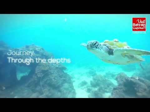 Pearl Diving Experience | Visit Bahrain