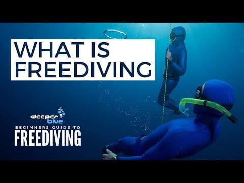 What Is Freediving - The Beginners Guide To Freediving