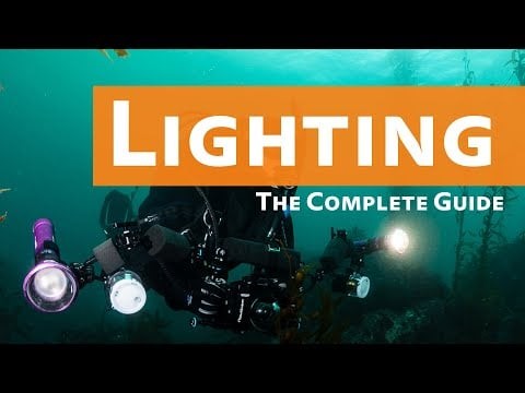 Why You NEED Lighting Underwater