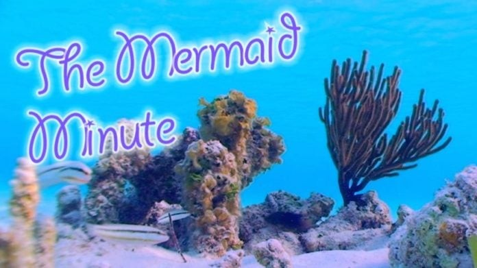 The Mermaid Minute