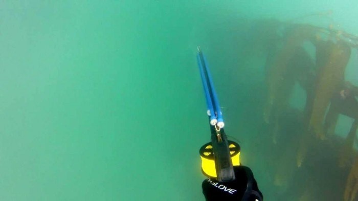 Video thumbnail for youtube video [VIDEO] Spearfishing: Trapped Underwater Fighting a 65lb+ White Seabass – DeeperBlue.com