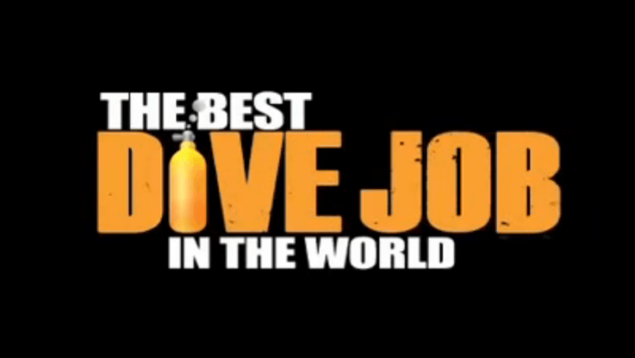 Best_Dive_Job