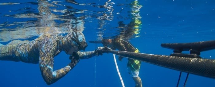 Immersion Freediving Spearo Safety