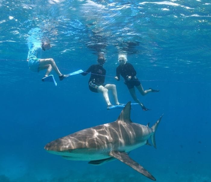 Shark Girls on a Caribbean reef shark dive (Photo credit: Duncan Brake)