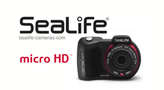 SeaLife's Micro HD camera used for underwater commercial shoot