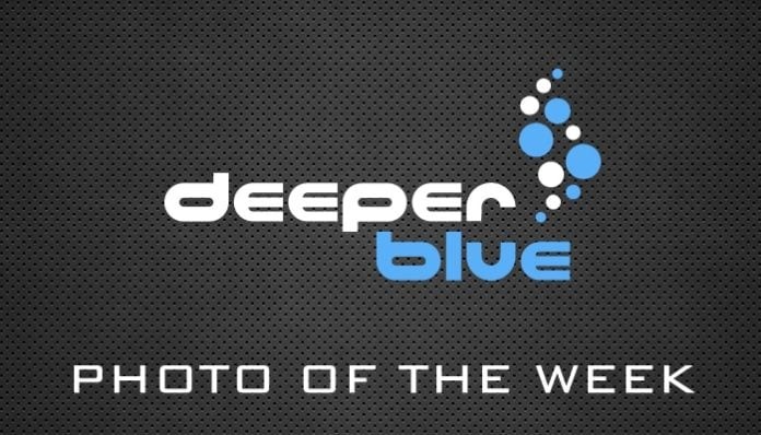 DeeperBlue.com Photo Of The Week