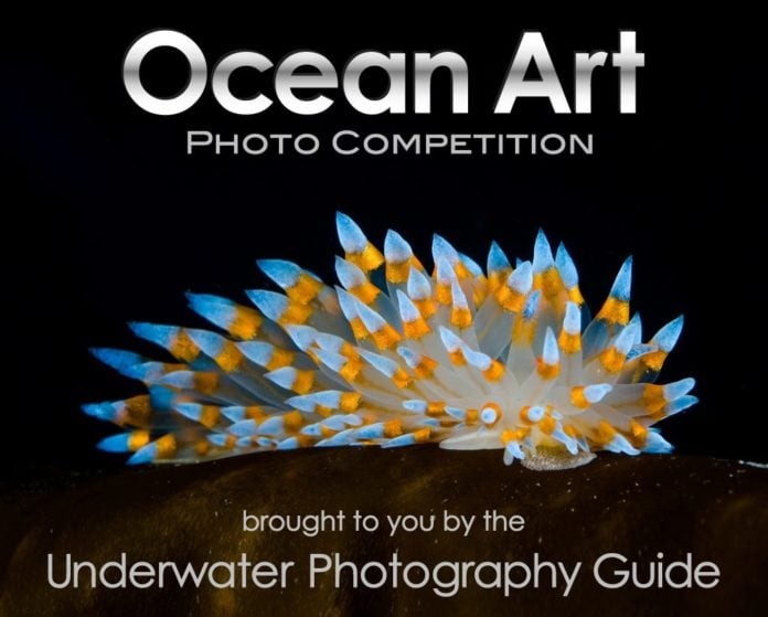 The Ocean Art Photo Competition Is Now Accepting Submissions.