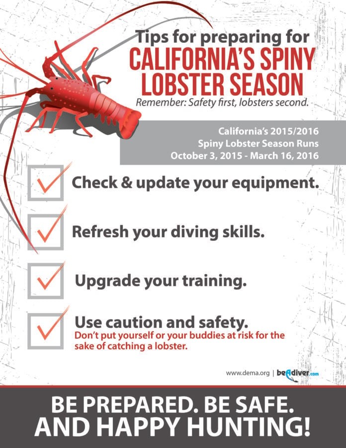 DEMA Releases California Spiny Lobster Season Commercial