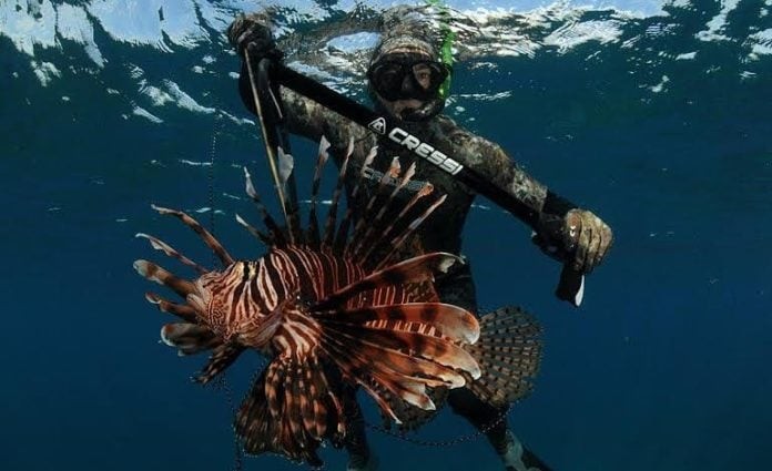 REEF.org spreads message about Lionfish threat (photo credit: REEF.org)