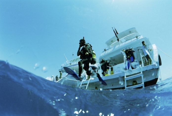 Scuba Diver diving off a liveaboard