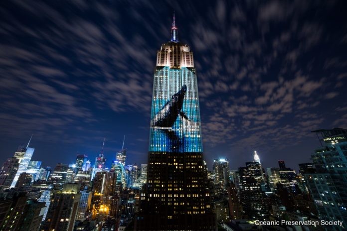 In August 2015 the team behind Racing Extinction broadcast images of endangered species onto the Empire State Building in New York to help promote the film
