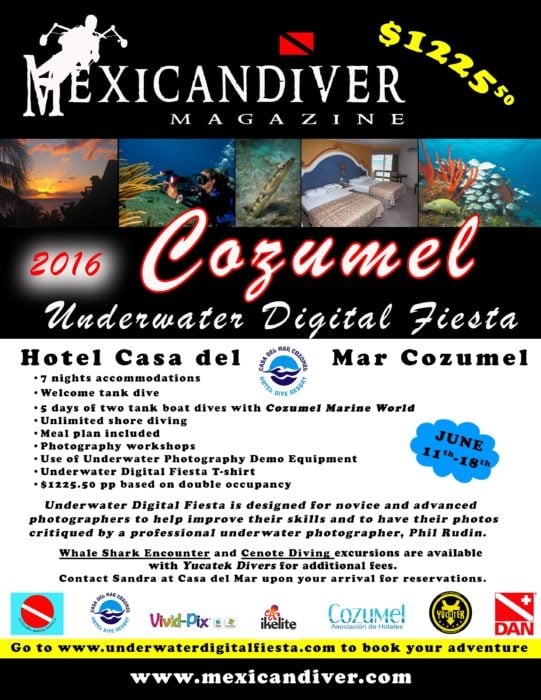 Cozumel Underwater Photography Festival To Take Place Next June