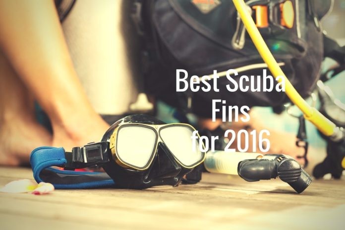 Best Scuba Fins for 2016