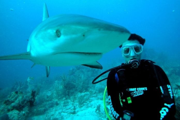 Scuba Diver and Shark. Creative Commons by Manoel Lemos https://www.flickr.com/photos/mlemos/2863736240