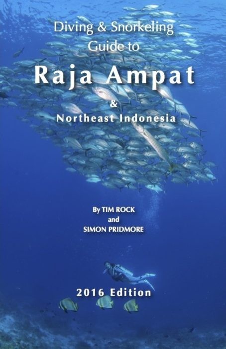 New Dive, Snorkeling Guide To Raja Ampat, Northeast Indonesia Released