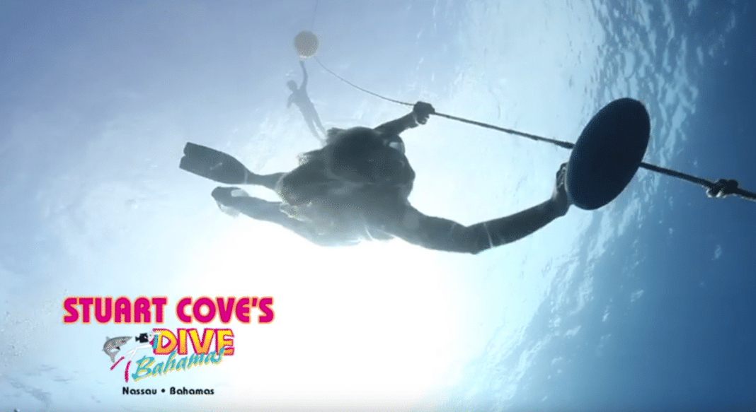 Stuart Cove's Dive Bahamas Now Offering PADI Freediver Courses