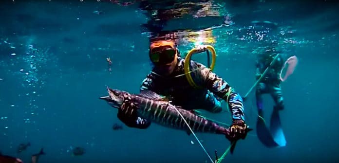 The ’Super-Series Spearfishing League' Begins This Weekend