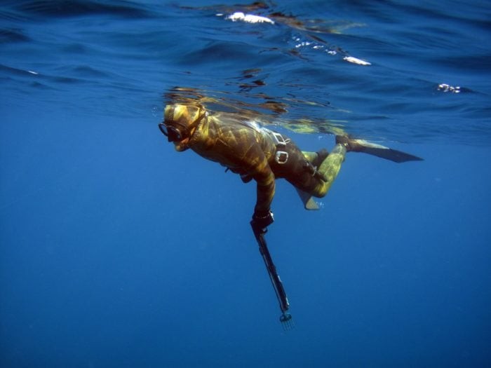 Spearfishing Freediver at the surface