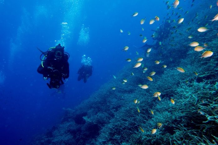 Scuba Diving along a coral reef