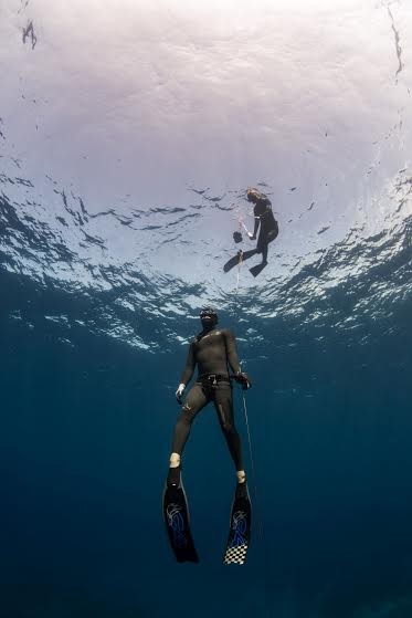 FII Launches First Standardized Spearfishing Course In USA (photo credit Freediving Instructors International)
