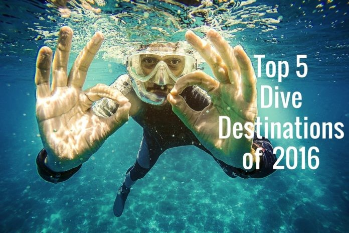 Top 5 Dive Destinations of 2016