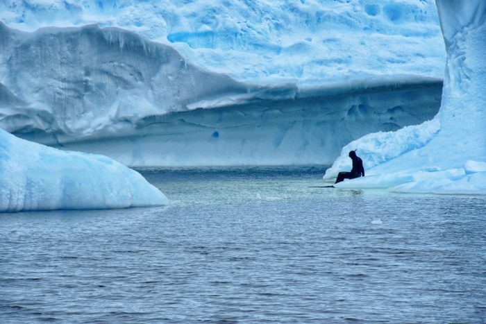 Freedive Antarctica - Will G On Iceberg