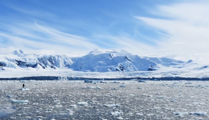 Freedive Antarctica - Will On Ice Looking At Glacier