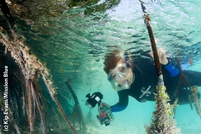 'Her Deepness' Dr. Sylvia Earle To Host Underwater Kelp Forest Livestream This Weekend
