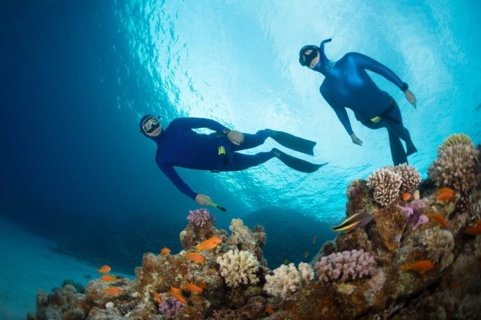 Two free divers swimming over vivid coral reef in the Red Sea. Egypt