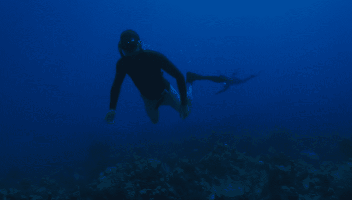 Nestor: 'It took me a book to really figure [freediving] out.'