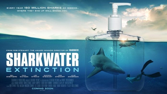 'Sharkwater' Filmmaker Making New Documentary Exposing Companies That Use Shark Fin Products