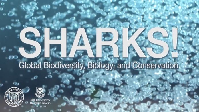 Cornell University and the University of Queensland are offering a free, online shark biology course.