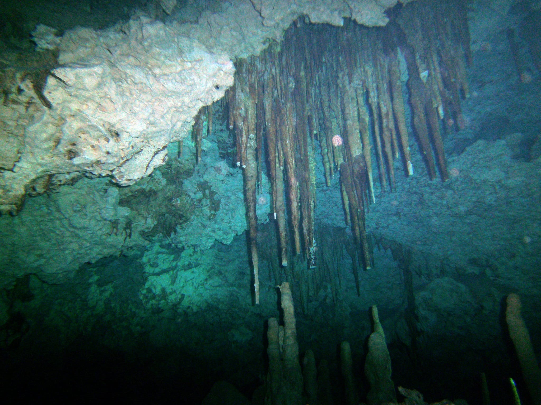 Stalactites in Kukulkan Chac Mool Cenote Mexico Photograph by amanderson2