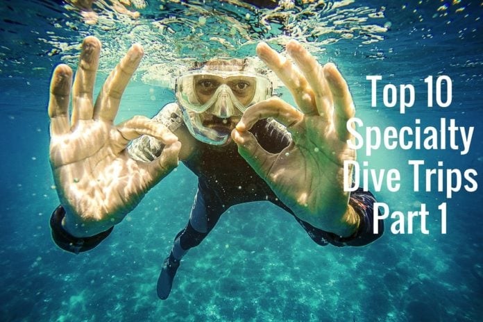 Top 10 Specialty Dive Trips - Part 1