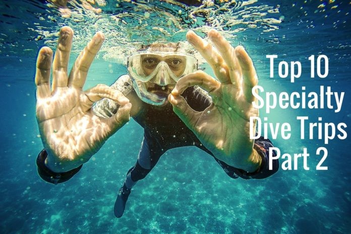 Top 10 Specialty Dive Trips - Part 2