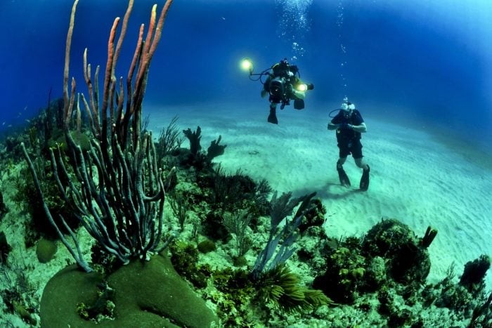 Reef Divers in Belize