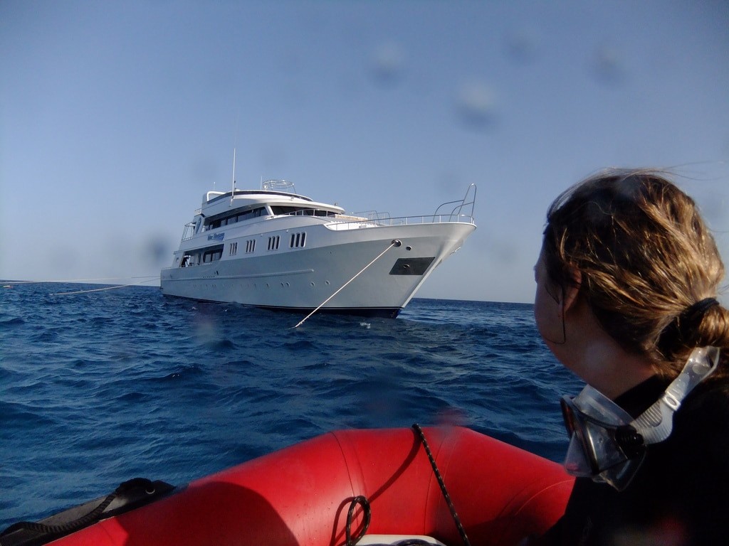 liveaboard diving the red sea