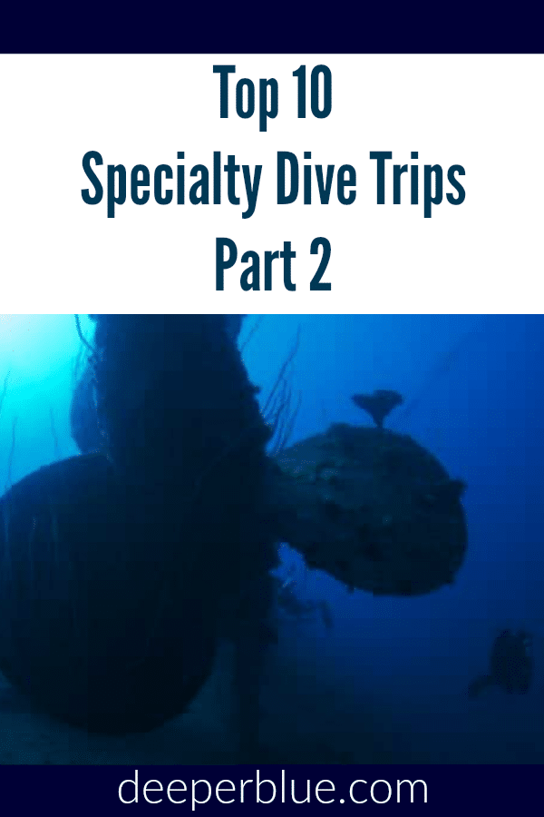 Top 10 Specialty Dive Trips - Part 2