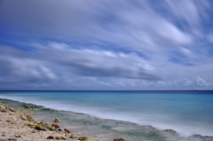 Bonaire Shore 