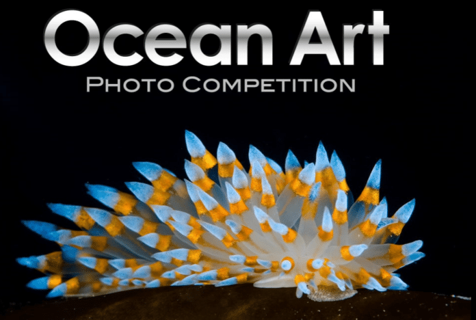 2018 Ocean Art Underwater Photo Competition Now Taking Submissions