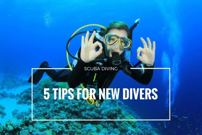 5 Tips for New Divers