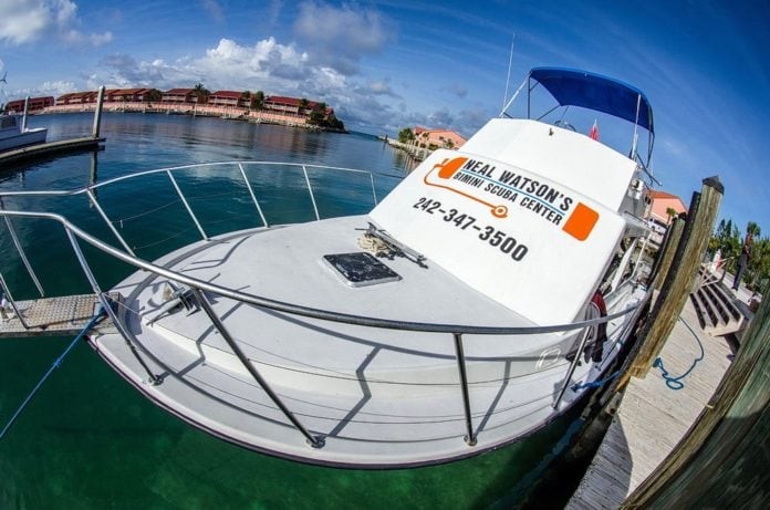 Neal Watson's Bimini Scuba Center Offering 'AfterMath(ew) Special' Dive Packages