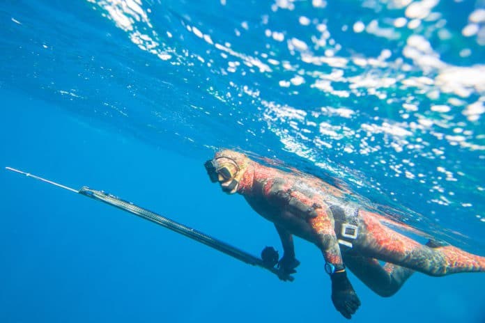 spearfisher rests on the surface of the sea before diving