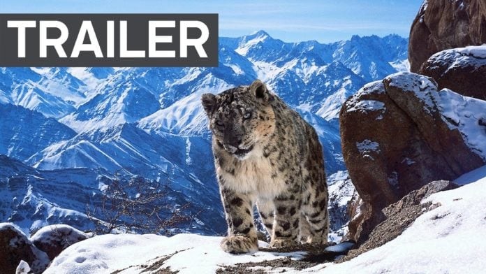 ‘Planet Earth II’ Premieres On BBC America on January 28th