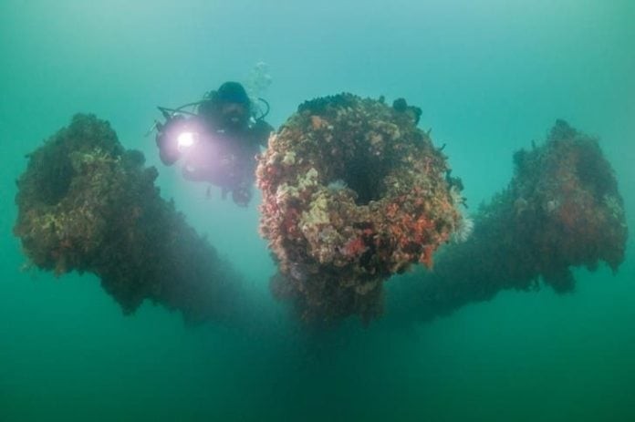 A National Park Service diver inspects three 14-inch guns still aboard the USS Arizona. Parts of the ship were salvaged during World War II, but these guns were not found in Pearl Harbour's turbid waters until 1983. Photo Credit: Brett Seymour, NPS Submerged Resources Center